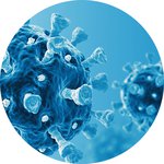 Umbilical cord mesenchymal stem cells used for COVID-19 trial